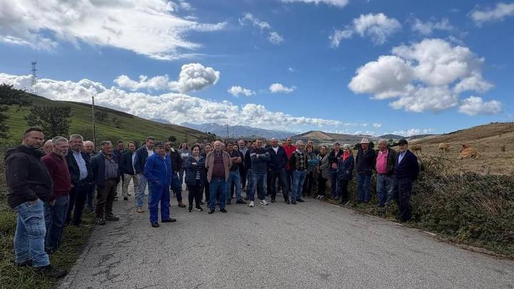 Ganaderos de Tineo y Salas, al límite por los continuos ataques de oso y lobo: "Nos están aburriendo y si seguimos así el campo tiene fecha límite"