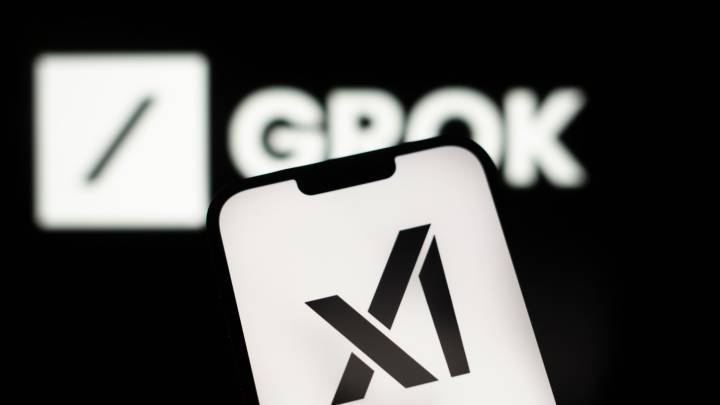 What is Elon Musk's AI Grok and is it private?