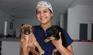 Centro de Bienestar Animal de Isla Mujeres brinda servicios accesibles para mascotas durante toda la semana