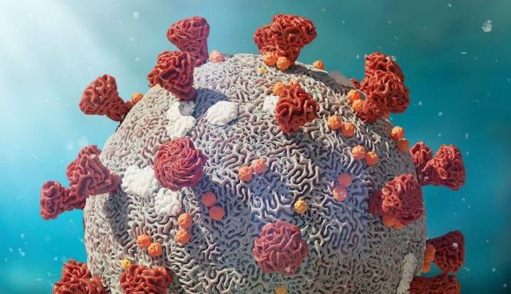 COVID-19 Damage To Sense Of Smell Long-Lasting And Subtle, Study Suggests