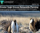 Updated Sage Grouse Rules Proposed Under Trump Administration