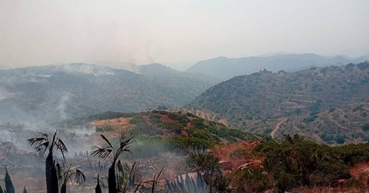 Extinguido tras diez días el incendio de Lubrín, que pedirá ser declarada zona catastrófica