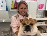 Business Spotlight: A’mano gifts brings joy and colorful gifts to Mountain Brook