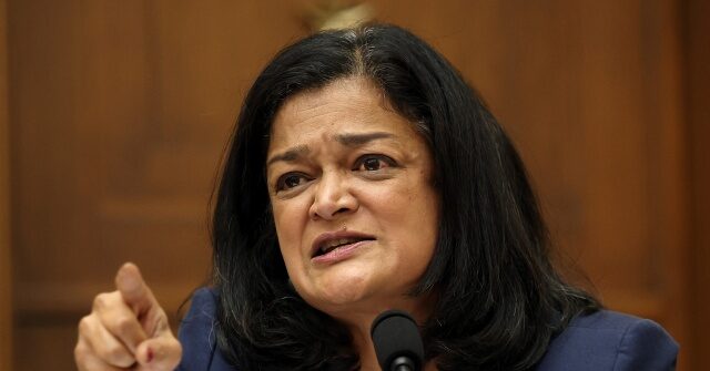 Pramila Jayapal Doubled Down on Calling ICE 'a Terrorist Force,' Accusing Agents of Kidnapping