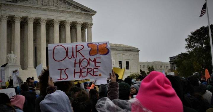 DACA recipients swept up in Trump mass deportation campaign, advocates report