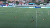 Jugadores de Envigado y Millonarios se tiraron al piso por un avistamiento de avispas: se vio en vivo