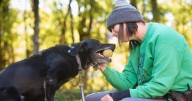Avoid a fall season fumble: Keep your pets safe with playbook from Best Friends in Kanab