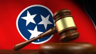 Tennessee appeals ruling against two gun laws