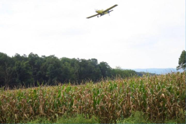 Concerned about strange planes overhead? It's nothing 'seedy'