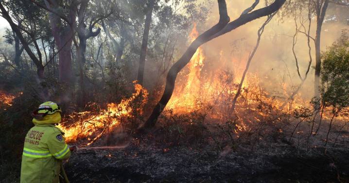 NSW plans hazard reduction burn near Seahampton