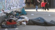 La pobreza fue del 31,6% en el primer semestre de 2025 y registró una significativa baja