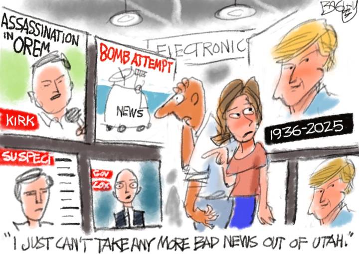 Bagley Cartoon: Bad News Beehive