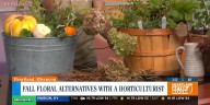Fall floral alternatives with a Heartland horticulturist
