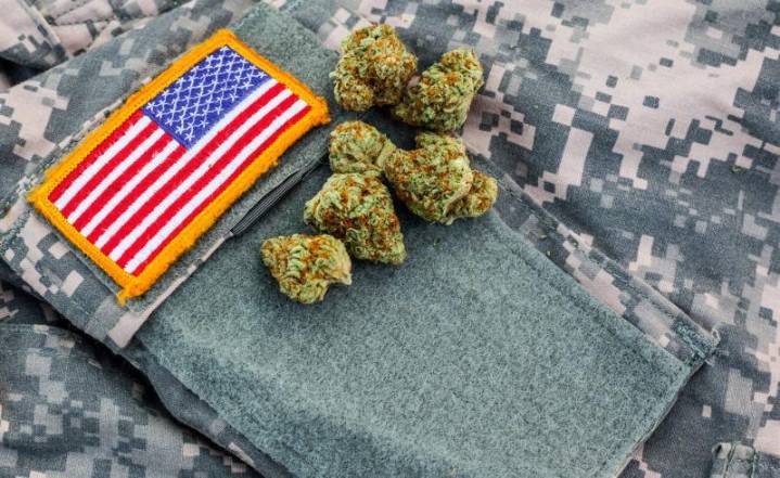 Discover This Veteran Owned Weed Brand in New York