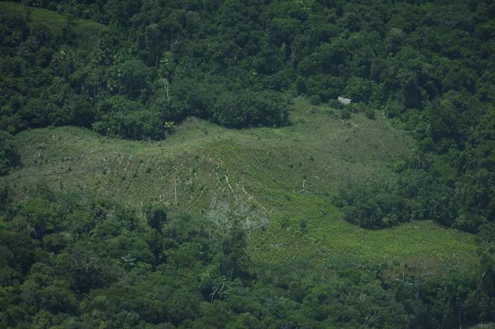 Peru rejects creation of Amazon reserve to protect uncontacted tribes, drawing Indigenous outcry