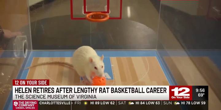Helen retires after lengthy rat basketball career