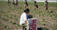 1.2 million immigrants are gone from the US labor force under Trump, preliminary data shows