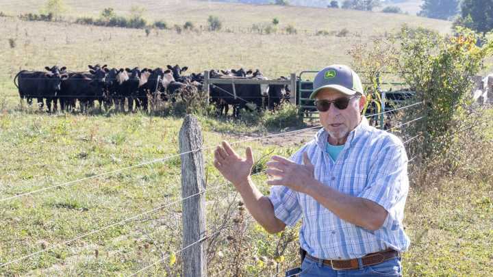 Farms in Stark, Carroll feeling the heat of drought conditions