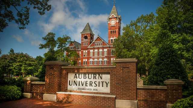 Auburn employees terminated for 'hurtful, insensitive' social media posts