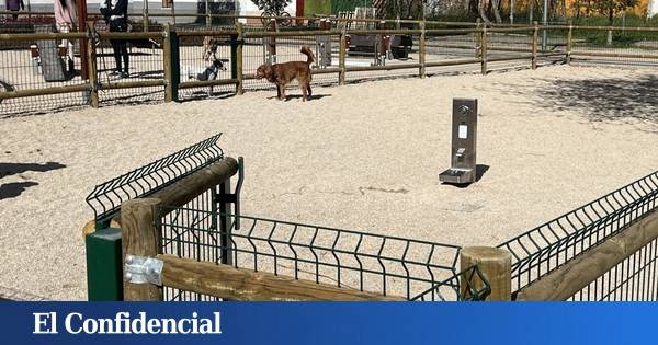 Los perros de Madrid tendrán más de doscientos parques de cara a 2027: los distritos que lo disfrutarán