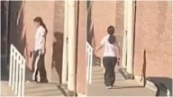 Pánico en Argentina: adolescente entró armada a escuela y disparó 🎦