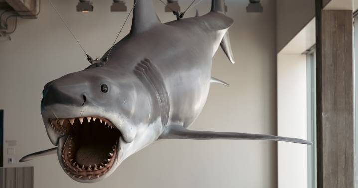 Steven Spielberg reflects on 'Jaws' at 50: The shark, the nightmares and a new exhibit