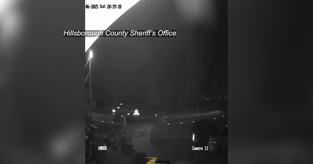 Hillsborough County deputies looking for pickup truck in hit