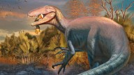 Scientists discover a new dinosaur from Argentina with a crocodile bone in its mouth