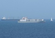 15.000 vacas para transportar droga en su paso por Canarias