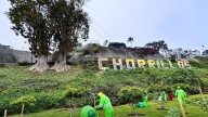 "Árbol Fest 5K": plantaron cinco mil árboles en un distrtito de Lima