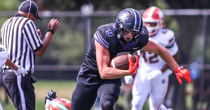 DuPage and suburban Cook County Week 2 IHSA football previews