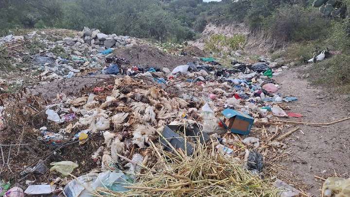 ¡Otra vez Miahuatlán! Vecinos ahora denuncian un tiradero cerca del panteón