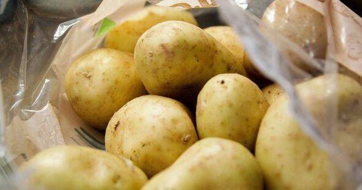Where to store potatoes to keep them fresh for months without sprouting