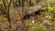 More eerie photos of NZ fugitive dad’s bush camp released