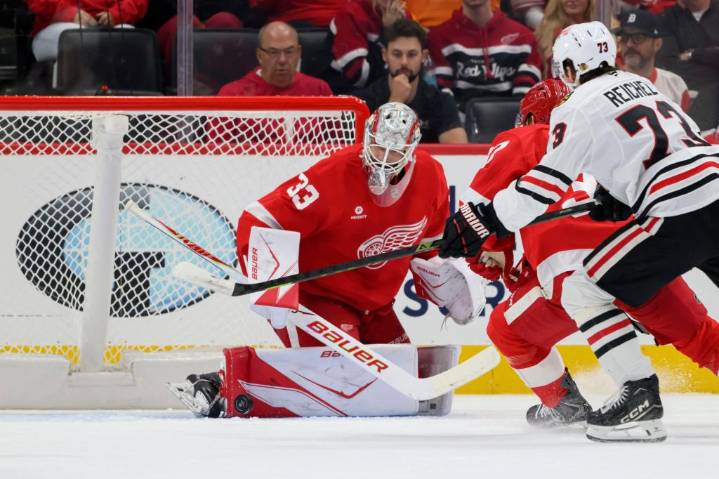 Red Wings notes: Michael Brandsegg-Nygard showcases hard shot, hard edge