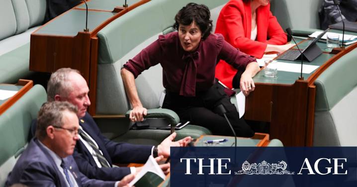 Kate Chaney calls out lewd comments from Barnaby Joyce towards Chris Bowen