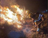 De nuevo Zamora en nivel 2 por un incendio