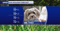 Paws-itively perfect dog walking forecast for September 10