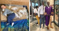 46 Wholesome Posts To Distract You From The Current Horrors Of The World (New Pics)