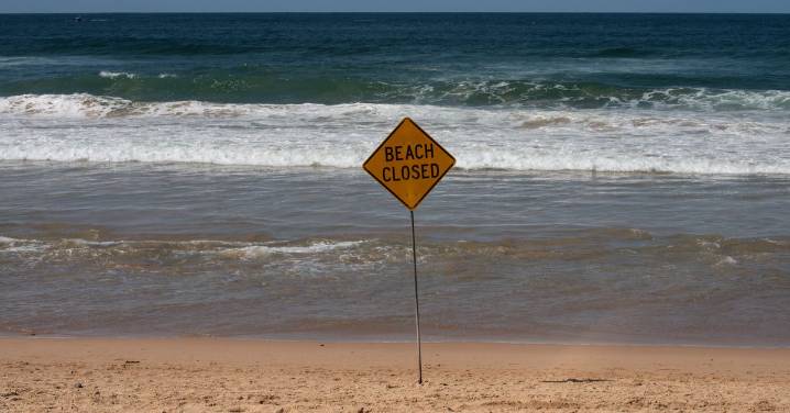 Sydney shark attack: Manly Beach and Freshwater Beach closed after sighting, days after fatal attack