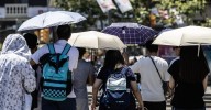 ¿El turismo toca techo? Se ralentiza la subida de precios y visitantes