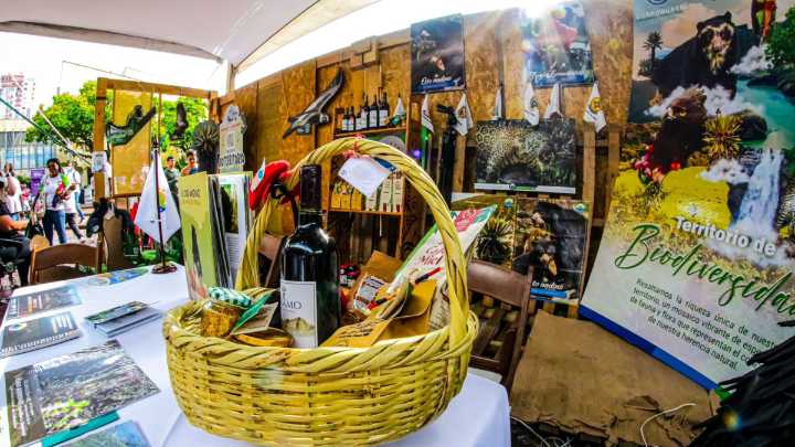 Semana de la Biodiversidad en Cali | ¿Cómo ha sido el impulso a los emprendimientos verdes para la sostenibilidad ambiental en Colombia?
