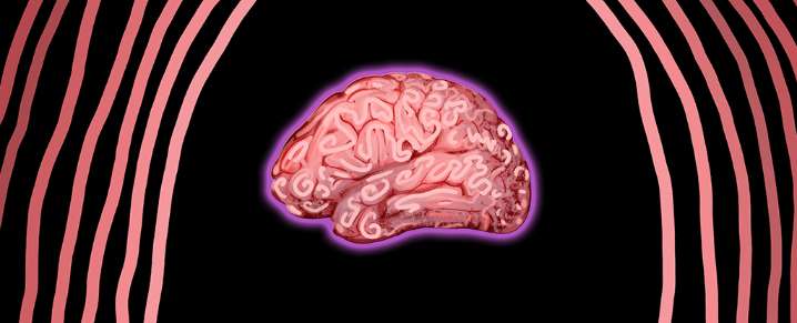Your Mother's Germs May Have Influenced Your Brain's Development