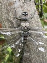 Photo of the Week - September 26