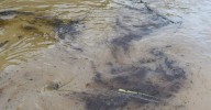 Gobierno de Arauca rechaza atentado contra infraestructura petrolera en el municipio de Fortul