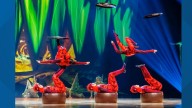 Cirque du Soleil's 'OVO' Enchants San Antonio This September