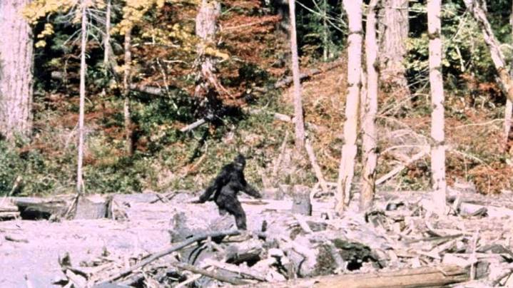 A sixth grader's podcast about Bigfoot : NPR