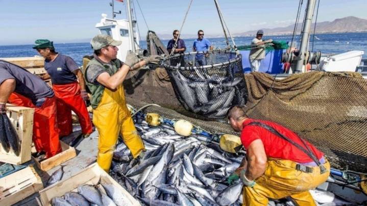 Ayelén Fortunato: “La pesca quedó fuera de la baja de retenciones”