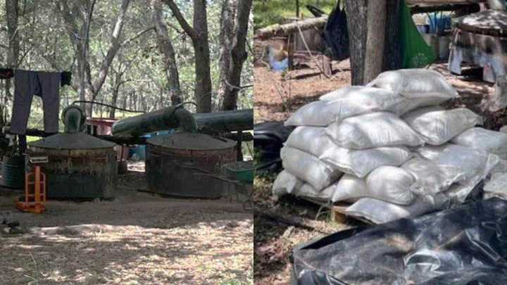 Desmantelan un Gran Laboratorio Clandestino de Fabricación de Drogas en Querétaro