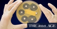 Medical Research Future Fund: Advocates urge increased disbursements amid US research cuts